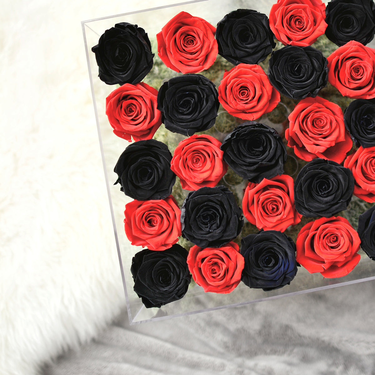 Large Amore Acrylic Rose box with checker roses